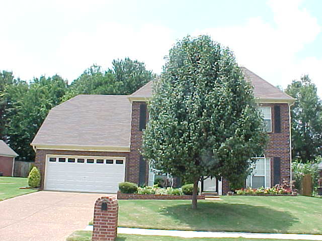 Germantown TN